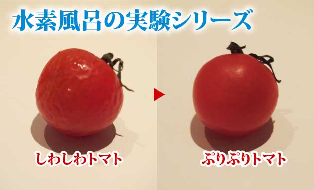 トマト比較
